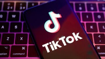 FILE PHOTO: TikTok app logo is seen in this illustration taken, August 22, 2022. REUTERS/Dado Ruvic/Illustration/File Photo