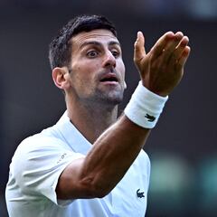 Djokovic atrapa otra marca con su triunfo ante Thompson