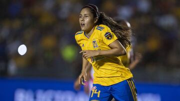 Posición: Mediocampista
Equipo: Tigres UANL
