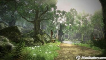 Fable 2, Impresiones
