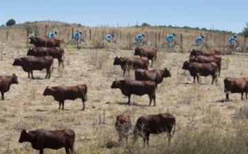 La cuarta etapa de la Vuelta en imágenes