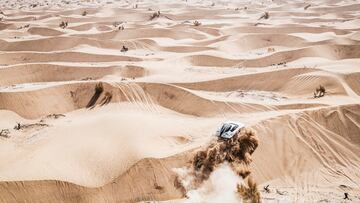 El desierto en estado puro