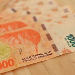 Extra ANSES de $8.210 para AUH y SUAF: fechas, requisitos y a quién va dirigido