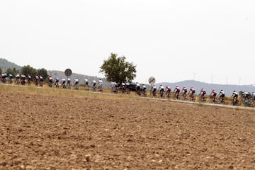 Pelotón durante la 8ª etapa de la Vuelta a España. 