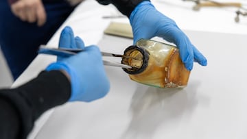 Un hombre encuentra una botella con un mensaje de 1903 en la sala de máquinas de un histórico faro: “Estaba tan emocionado”