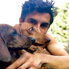 Márquez zanja el lío en redes de
"los perrillos" y la "vuelta": "Hay mucho aburrido por Twitter"