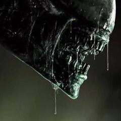 China censura la escena de un beso en Alien: Covenant