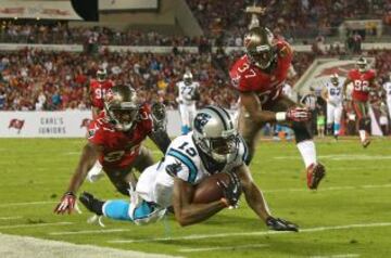 Carolina Panthers-Tampa Bay Bucaneers. Ted Gin.