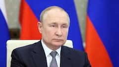 Russian President Vladimir Putin attends a BRICS+ meeting during the BRICS summit via a video link in the Moscow region, Russia June 24, 2022. Sputnik/Mikhail Metzel/Kremlin via REUTERS ATTENTION EDITORS - THIS IMAGE WAS PROVIDED BY A THIRD PARTY.