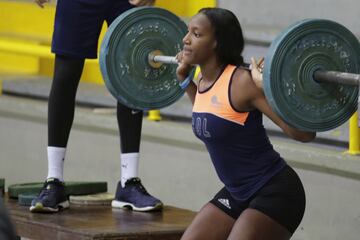 La Selección Colombia de voleibol femenina se prepara para el Preolímpico que se disputará en el Coliseo El Salitre del 6 al 9 de enero. Se enfrentará en sistema de todos contra todos a Argentina, Perú y Venezuela. 