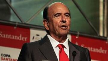 <strong>HISTÓRICO.</strong> Emilio Botín declaró que hará todo lo posible para que España pueda jugar en Sudamérica.