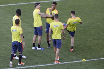 David Ospina ya está con el grupo que entrenó en el estadio Pacaembú a tres días del partido definitivo ante Chile por los cuartos de final de la Copa América. La Selección Colombia hizo la práctica entre risas y el mejor ambiente y espera por el compromiso que será el 28 de junio a las 6:00 p.m.