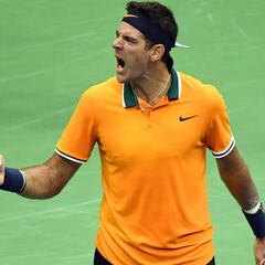 Del Potro: "Todo es casi perfecto; no es la mejor manera de ganar"