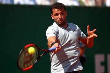 Grigor Dimitrov.