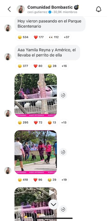 Aseguran que hay una nueva pareja en la farándula chilena: “Andaban paseando un perrito”