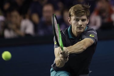 Del Potro está a un triunfo del Masters; Goffin, clasificado