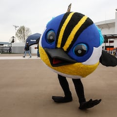 La lista de lo más buscado en Google este 2023 en Chile