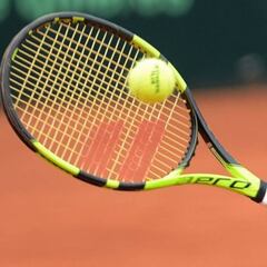 IND reduce facultades al administrador externo de la Fetech