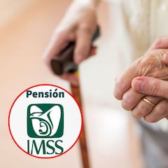 Declaración anual pensionados IMSS: cómo hacerla y quién está exento de realizarla