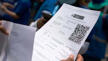 Carnet de vacunación: en qué sitios se exigirá y dónde puedo descargarlo