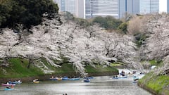 Japan’s warning for the coming ‘mega-quake’: 300,000 people would lose their lives and billion-dollar debacle