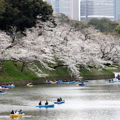 Qué es el ‘Big One’: Japón se prepara para las consecuencias de un megaterremoto en la fosa de Nankai