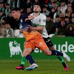 Karrikaburu, objeto de deseo del mercado