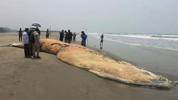 People gather around a dead whale washed ashore on a beach in Cox's Bazar on April 10, 2021. (Photo by Miraj Kateb / AFP)