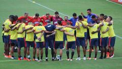 Selecci&oacute;n Colombia en la Copa Am&eacute;rica.