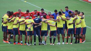 Selecci&oacute;n Colombia en la Copa Am&eacute;rica.