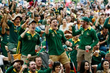 Seguidor sudafricano durante la final el Mundial de Rugby.