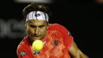 David Ferrer, durante el partido.