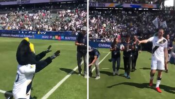 Las mascotas también sabían que lo que hizo Ibra fue bestial