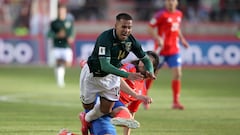 “Asumo toda la responsabilidad y las críticas... me duele el alma”