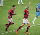 Flamengo se acostumbra a festejar