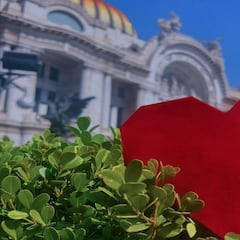 Estos son los mejores planes gratuitos que podrás hacer para celebrar San Valentín en CDMX