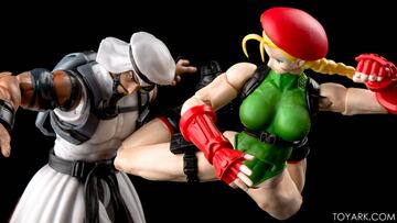 Fotografía - shf-sfv-cammy-39.jpg