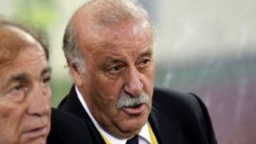 Del Bosque, en el partido ante Guinea.