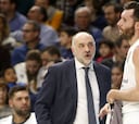 Real Madrid - Zaragoza: TV, horario y dónde ver online la ACB