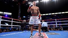 Gennady Golovkin.