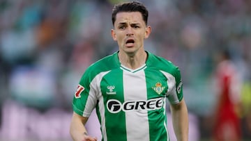 SEVILLA, 01/03/2026.- El centrocampista del Betis Álvaro Fidalgo celebra su gol contra el Sevilla durante el partido de la jornada 26 de LaLiga entre el Betis y el Sevilla, este domingo en el estadio de la Cartuja.-EFE/ José Manuel Vidal