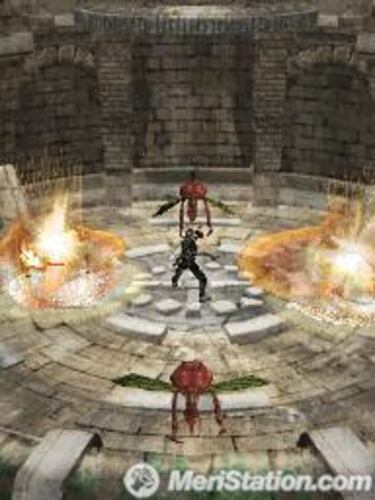 Ninja Gaiden Dragon Sword, Impresiones