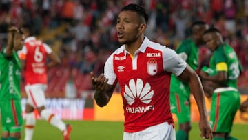 Wilson Morelo, delantero de Independiente Santa Fe