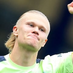 Fanáticos del Everton le enviaron curioso regalo a Haaland en honor a sus 36 goles