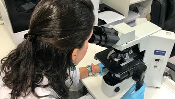 ANDALUC&Atilde;A.-Sevilla.- El Hospital Quir&Atilde;&sup3;nsalud Infanta Luisa inicia estudios con nuevos medicamentos en lupus eritematoso sist&Atilde;&copy;mico
 
 (Foto de ARCHIVO)
 21/9/2018