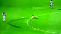 ¡Este perro usó la cancha como baño... en pleno partido!