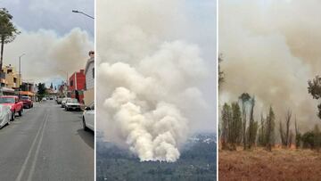 Parque Ecológico de Xochimilco: ¿Por qué se incendió y últimas noticias?