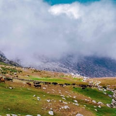 Un ciclista, apuñalado tras una disputa con excursionistas en un sendero