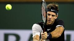 Del Potro 6-4/7-6 Ferrer: resumen y resultado
