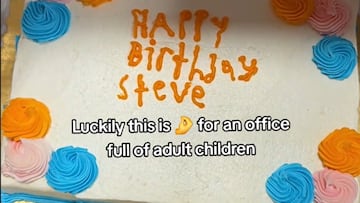 A Giant Eagle baker’s quirky cake lettering went viral on TikTok, making millions laugh after a simple birthday order took a hilarious turn. (@k_bug68 via Tiktok)